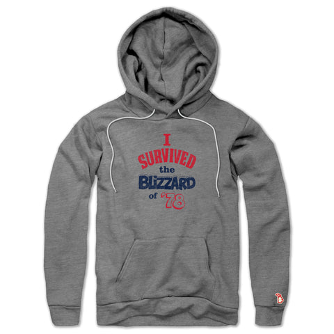 BLIZZARD OF 1978 ALL SEASON HOODIE (UNISEX)