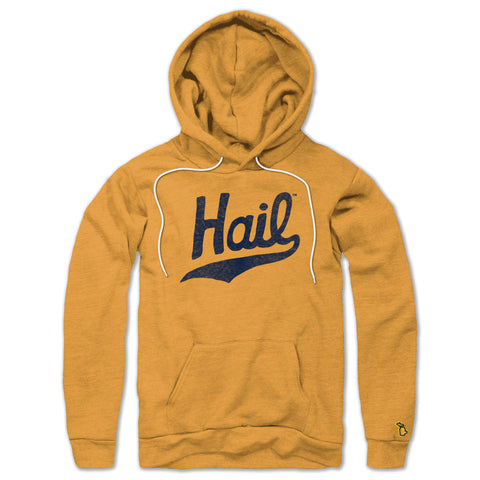 UofM - HAIL ALL SEASON HOODIE (UNISEX)